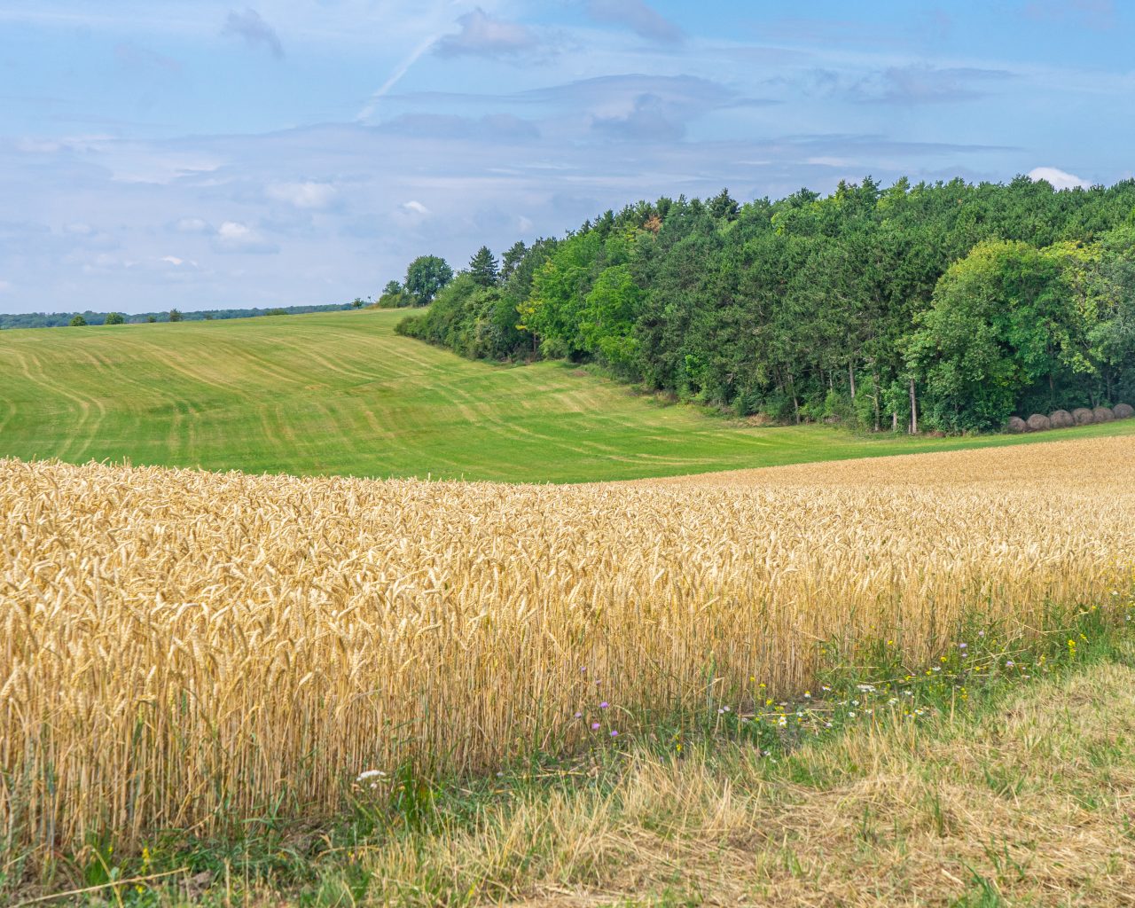 Akkers-tijdens-Mullerthal-Trail-route-1