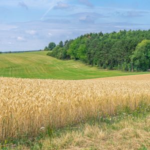 Akkers-tijdens-Mullerthal-Trail-route-1