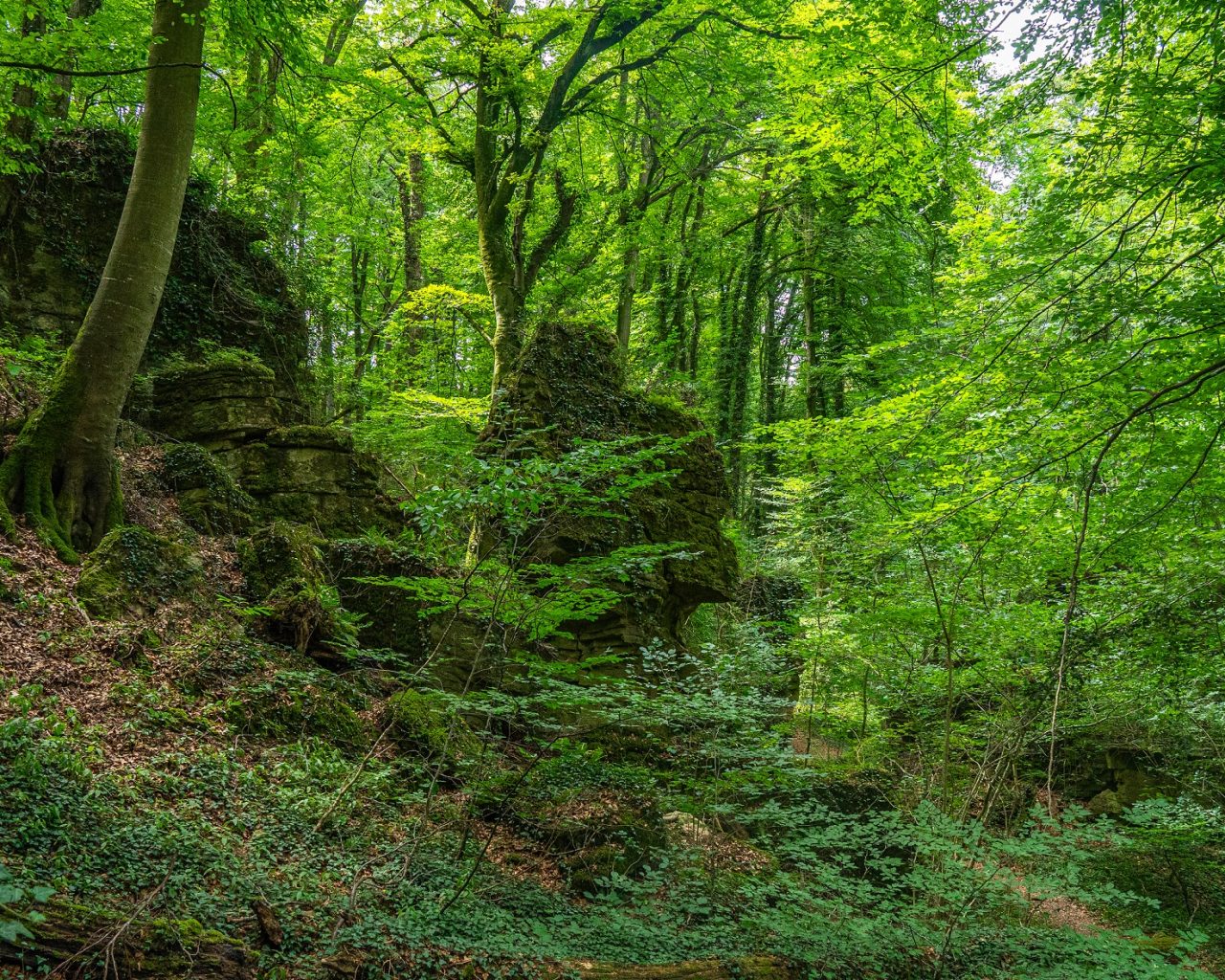 Groene-natuur-met-gigantische-rotsen-Mullerthal-Trail