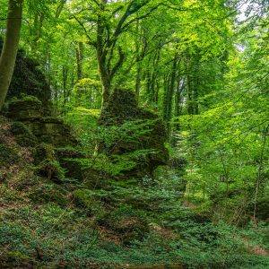 Groene-natuur-met-gigantische-rotsen-Mullerthal-Trail