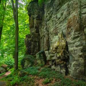 Bijzondere-rotsen-Mullerthal-Trail