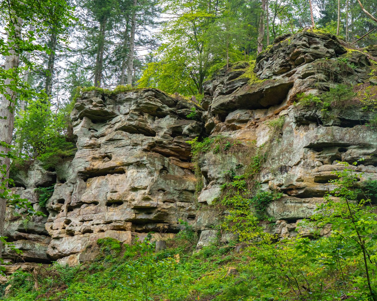 Bijzondere-rotsen-Mullerthal-Trail-Luxemburg