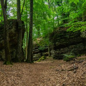 Wandelen-tussen-de-grote-rotsen-Mullerthal-Trail