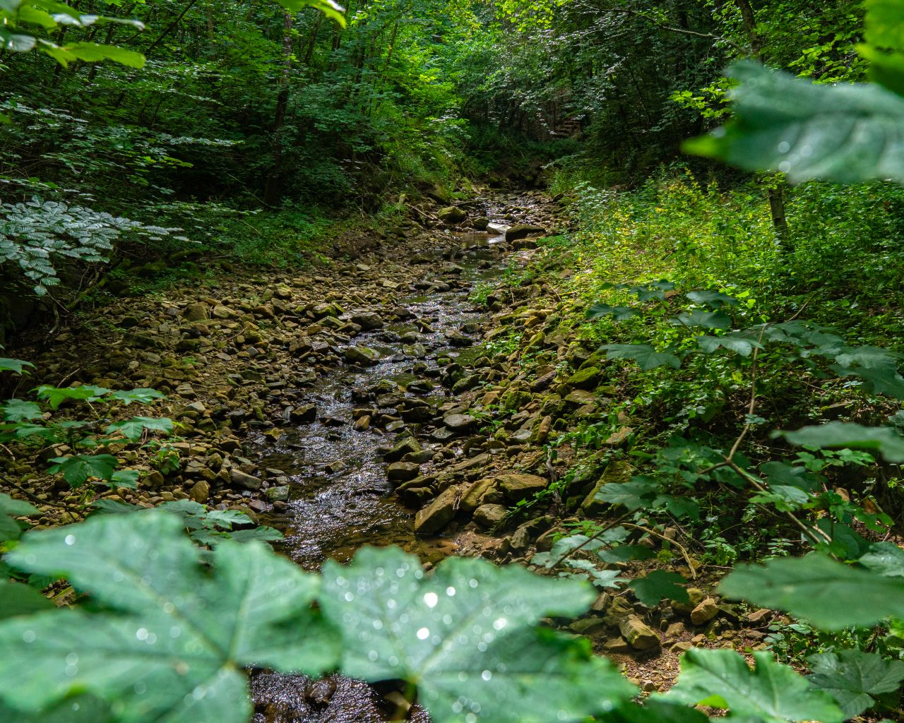 Kleine-rivier-oversteken-tijdens-Mullerthal-Trail