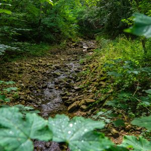 Kleine-rivier-oversteken-tijdens-Mullerthal-Trail