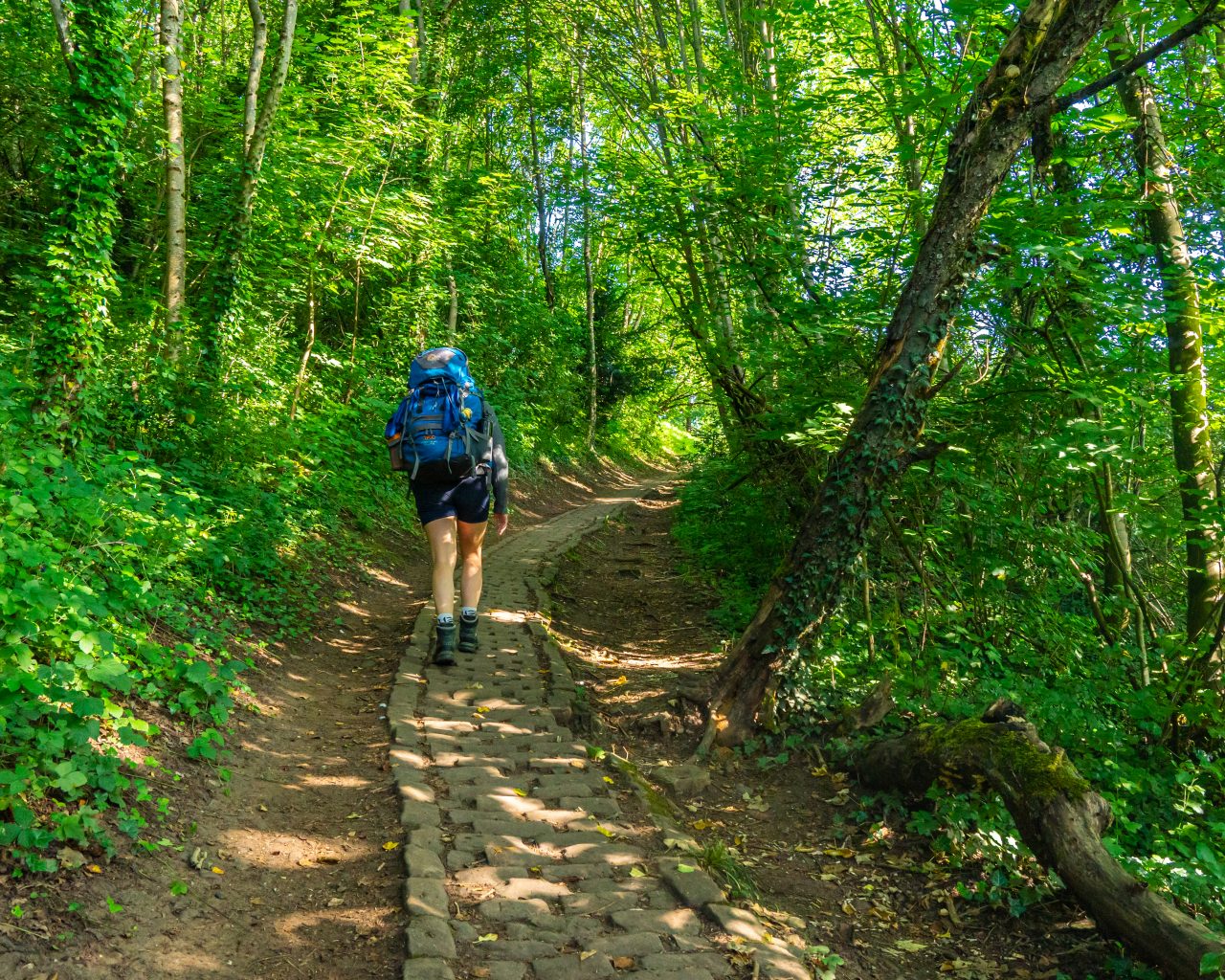 Omhoog-wandelen-Mullerthal-Trail-vanaf-Echternach