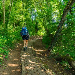 Omhoog-wandelen-Mullerthal-Trail-vanaf-Echternach