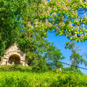 Kapelletje-met-mooie-boom-bij-Echternach-Luxemburg