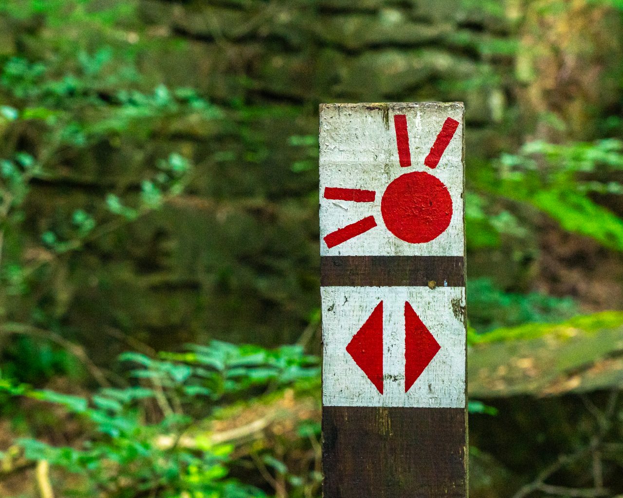 Uitzichtpunt-tijdens-Mullerthal-Trail-route-2