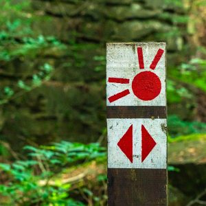 Uitzichtpunt-tijdens-Mullerthal-Trail-route-2