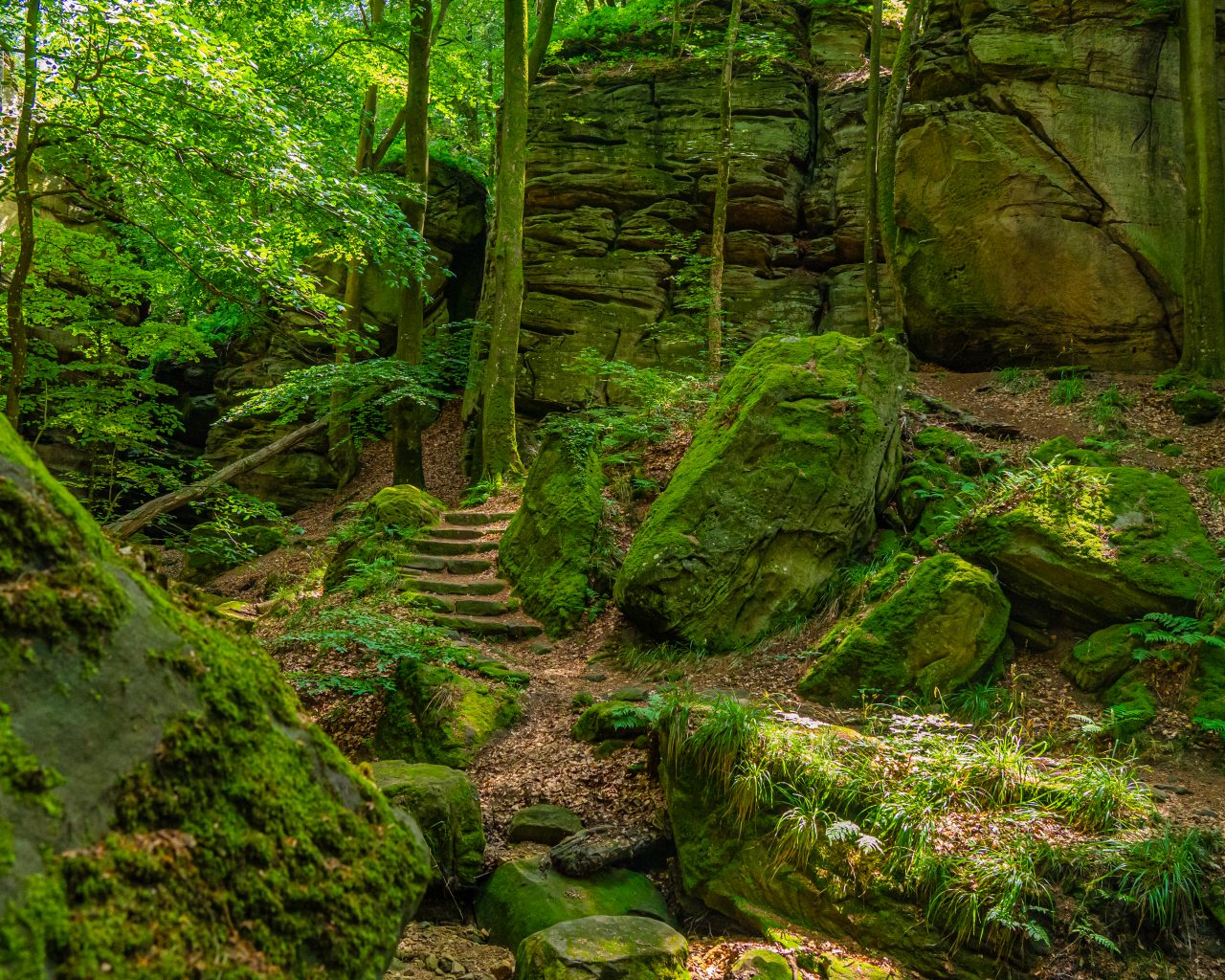 Wandelpad-loopt-door-groene-natuur-met-grote-rotsen