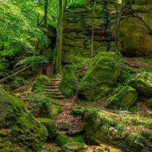 Wandelpad-loopt-door-groene-natuur-met-grote-rotsen