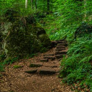 Onverharde-wandelroute-Mullerthal-Trail-route-2