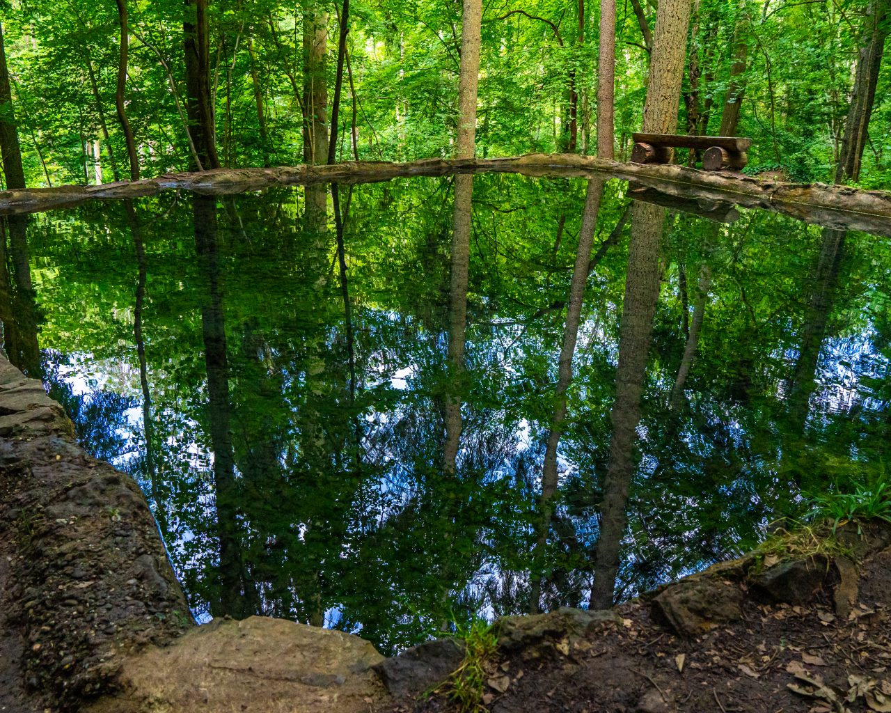 Bron-met-helder-water-en-reflectie-bomen-Mullerthal-Trail
