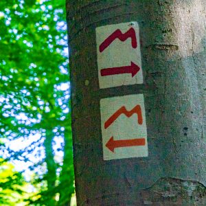 Markeringen-voor-Mullerthal-Trail-en-extra-routes