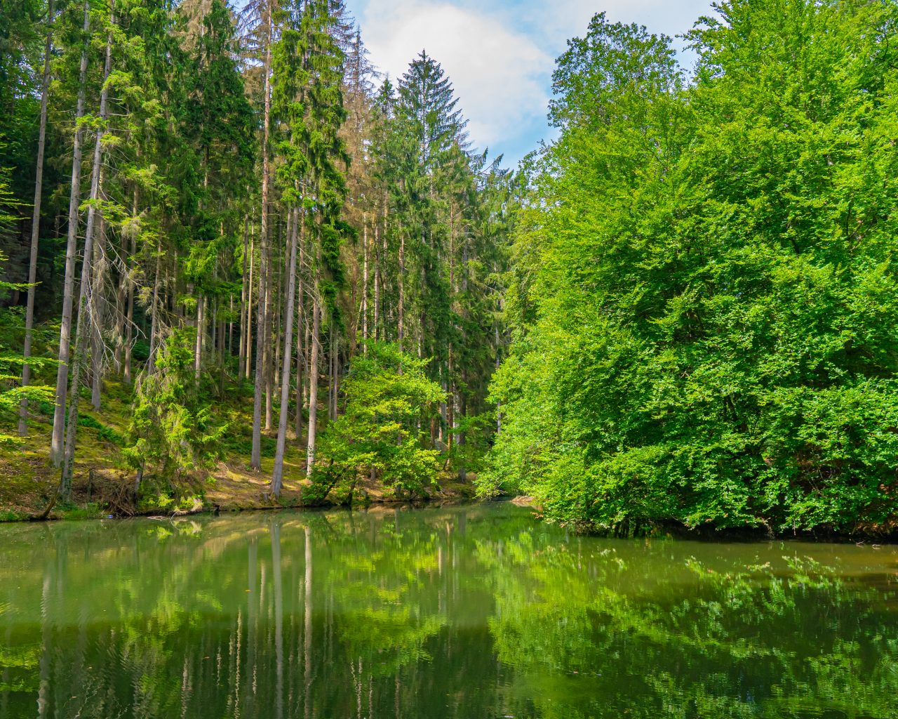 Meertje-met-bomen-eromheen-bij-Beaufort-Mullerthal-regio