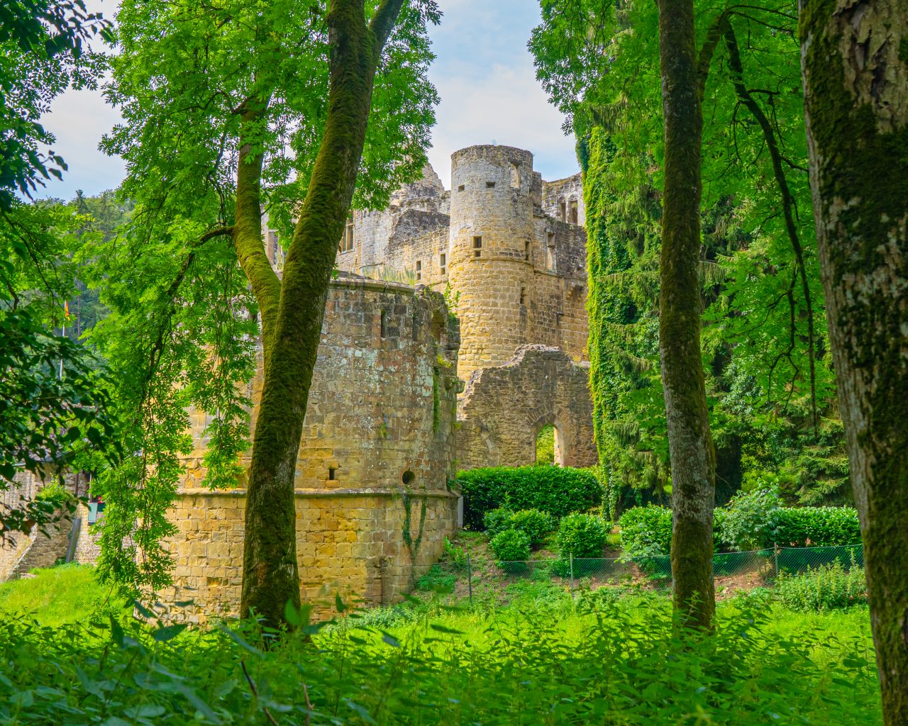 Kastelen-van-Beaufort-door-bomen-Luxemburg