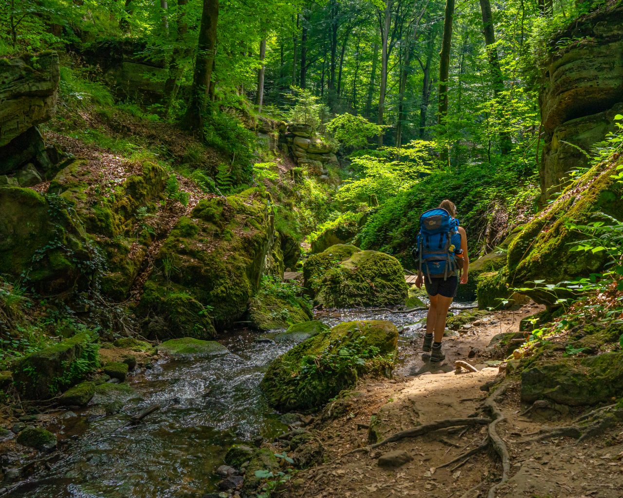 Wandelen-langs-rivier-Mullerthal-Trail-route-3