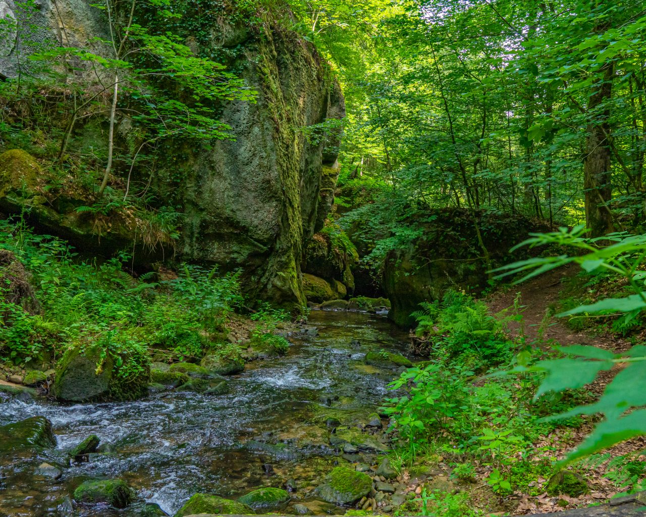 Groene-natuur-met-rivier-op-Mullerthal-route-3