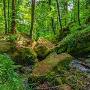 Rivier-van-Beaufort-naar-Mullerthal-wandelen