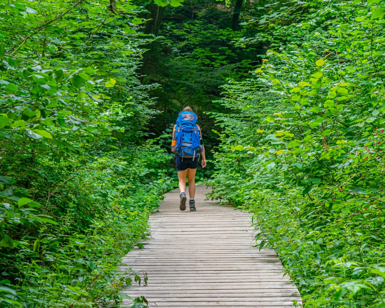 Vlonderpad-Mullerthal-Trail-route-3