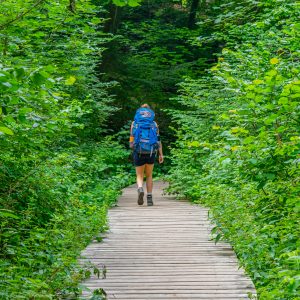 Vlonderpad-Mullerthal-Trail-route-3