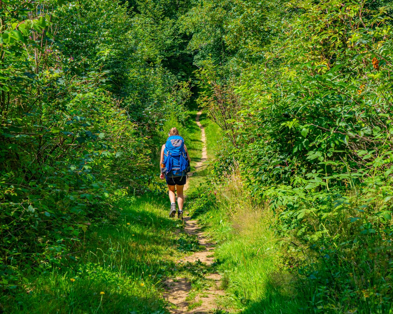 Wandelaar-met-rugzak-Mullerthal-Trail-route-3