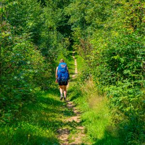 Wandelaar-met-rugzak-Mullerthal-Trail-route-3
