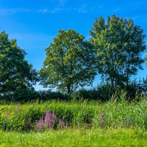Oranjekanaal-pieterpad-etappe-6