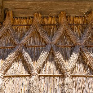 Detailfoto-rieten-versiering-huis-Orvelte