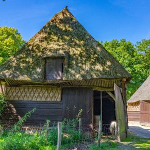 Huizen-met-pony-schaap-in-Orvelte-Drenthe