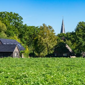 uitzicht-vanaf-wandelpad-pieterpad-etappe-6-op-sleen-en-boerderijen