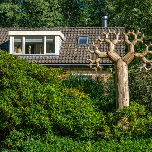 Boom-kunst-voor-huis-in-Sleen