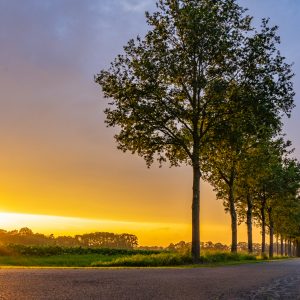 Zonsondergang-langs-weg-met-bomen-Pieterpad
