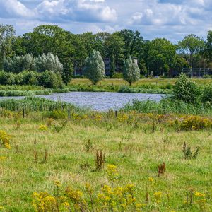 Rivier-de-Vecht-wandelen-Vechtdal-Pieterpad