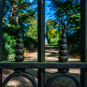 Hek-bij-Kasteel-de-Wiersse-Achterhoek