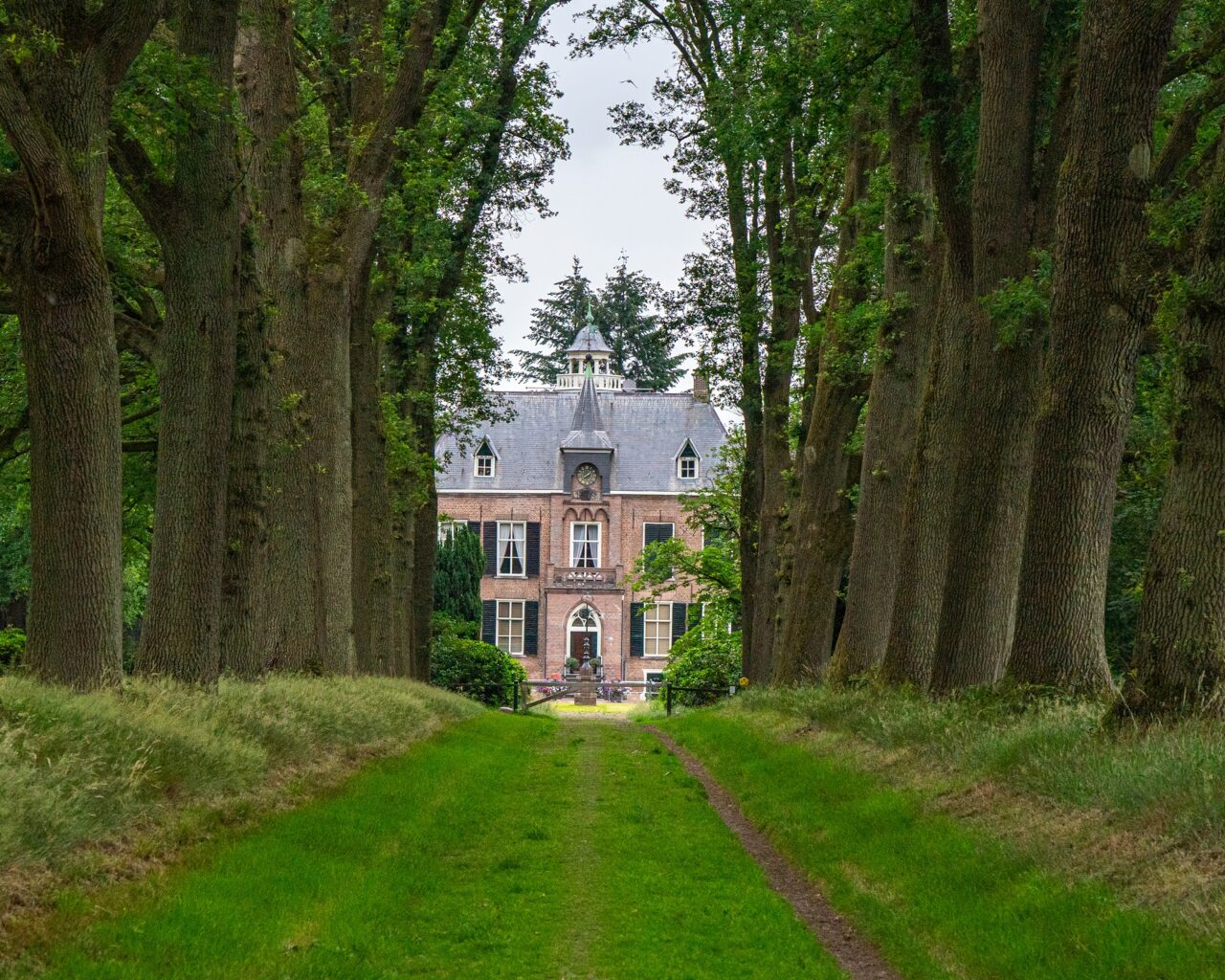 Kasteel-den-Bramel-met-oprijlaan-bomen