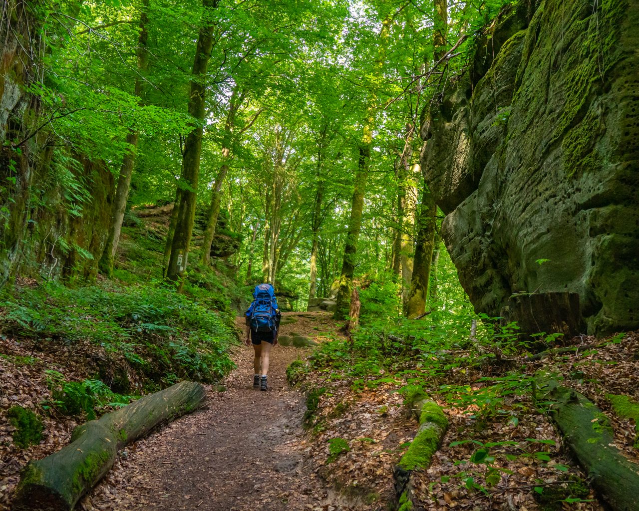 Lopen-tussen-gigantische-rotsen-Mullerthal-wandelen