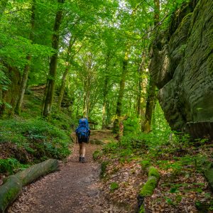Lopen-tussen-gigantische-rotsen-Mullerthal-wandelen