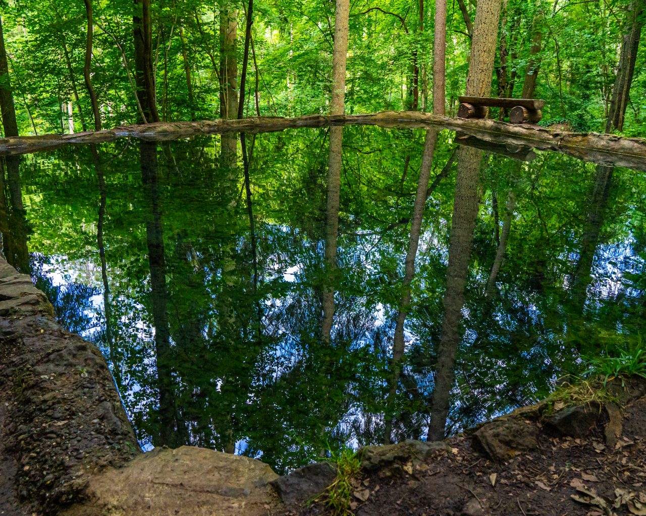 Mullerthal-trail-3-langs-meertje-met-helder-water