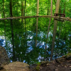 Mullerthal-trail-3-langs-meertje-met-helder-water