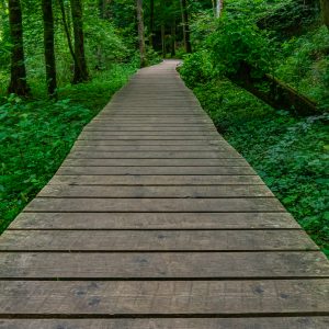 Vlonderpad-Mullerthal-trail-3