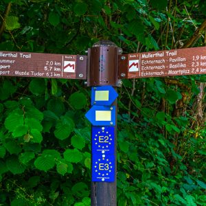 Mullerthal-trail-markeringen-met-bruine-borden