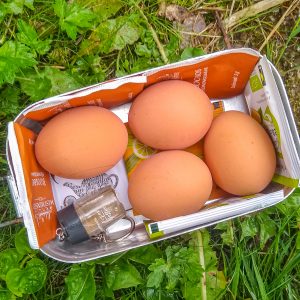 Eieren-in-bakje-voor-wandelen-Mullerthal