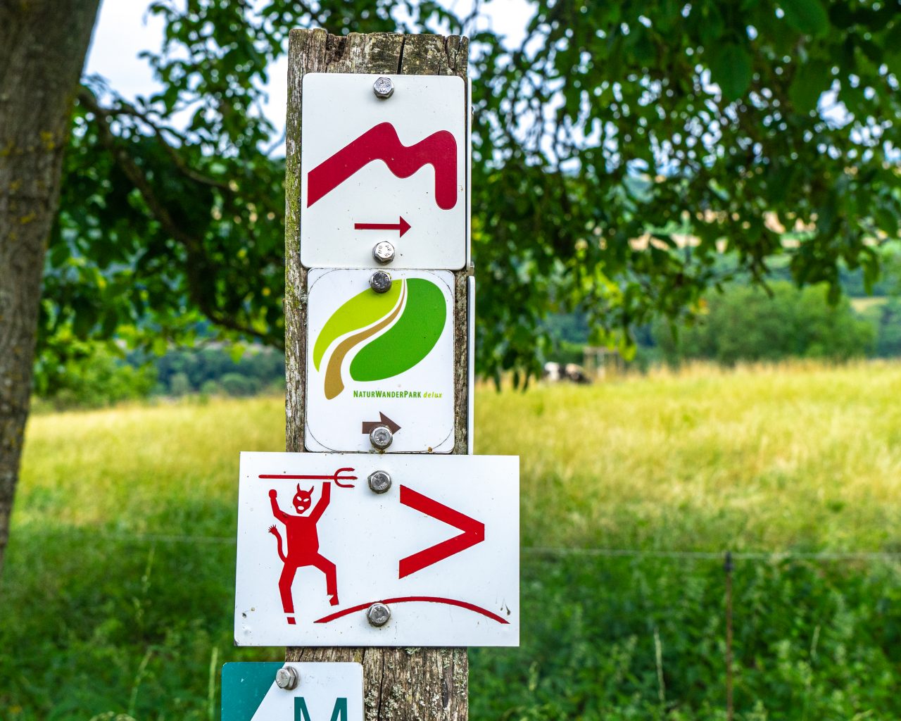 Mullerthal-trail-markeringen-langs-weg