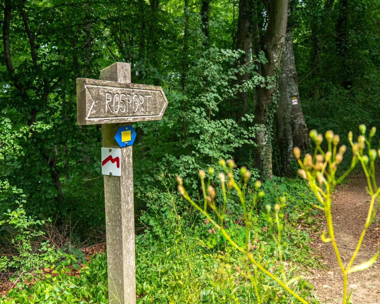 Mullerthal-trail-1-bord-met-markering