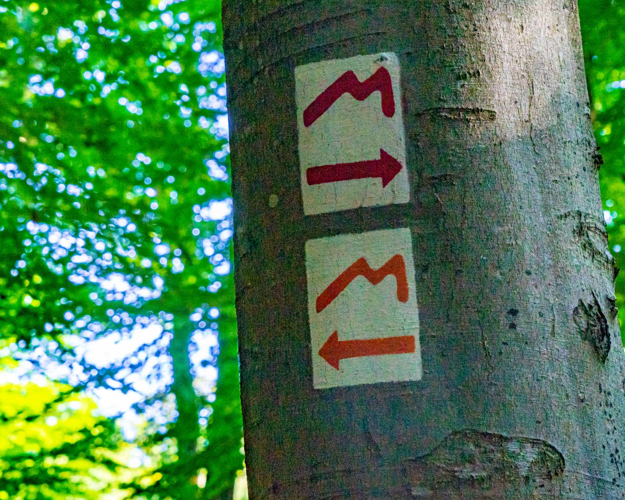 Mullerthal-wandelen-markeringen
