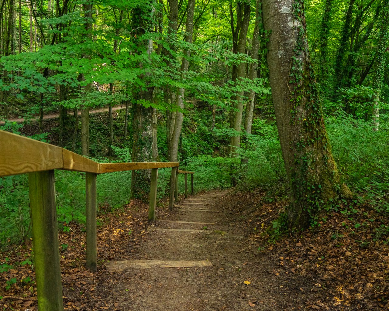 Omhoog-wandelen-wandelpad-Mullerthal-Trail-1