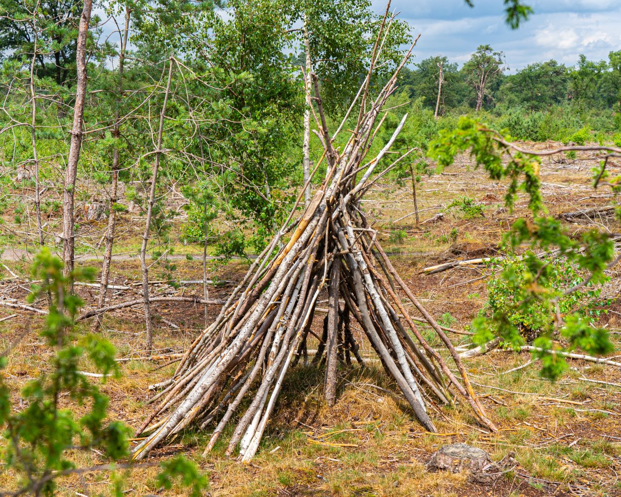 Zelfgemaakte-tipi-van-hout-bij-Archemerberg