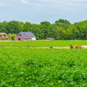 Uitzicht-op-boerderijen-Lemele-tijdens-Pieterpad-etappe-10